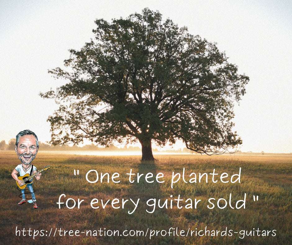 Thumbnail 17
